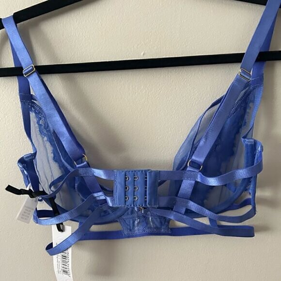 NWT WOLF WHISTLE Claire Blue Caged Lace Bra 32DDD - Picture 4 of 7
